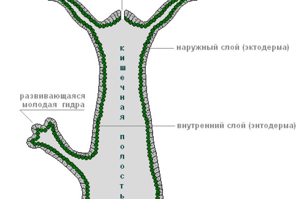 Как зарегистрироваться на сайте кракен