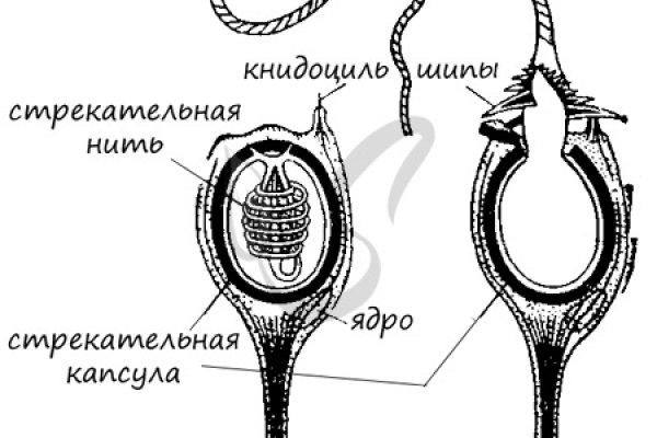 Зеркало вход кракен